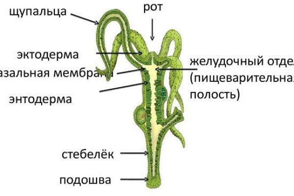 Кракен онион рабочая ссылка