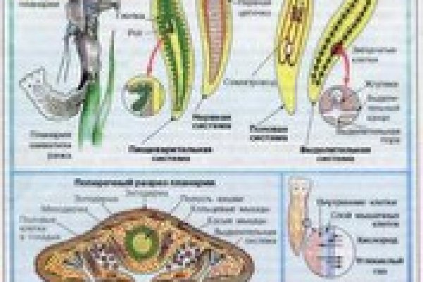 Кракен современный даркнет маркетплейс