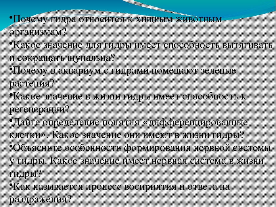 Ссылка на кракен 11